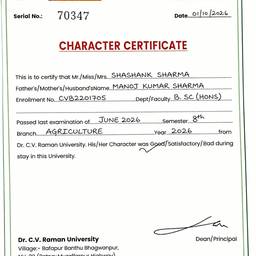 After - University Certificate Edit
