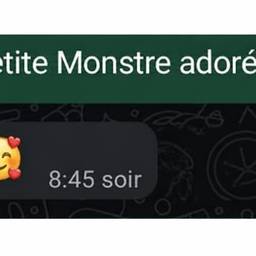 Edit Chat Screenshot Text