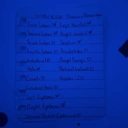 Before - Handwritten Checklist Date Edit