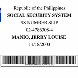 SSS Number Slip Edit
