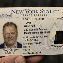 Aged Driver's License Edit