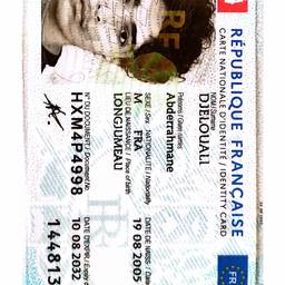 French ID Card Edit