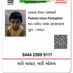 Crisp Aadhaar Card Edit