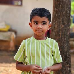Reference