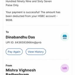 UPI Payment Success Edit