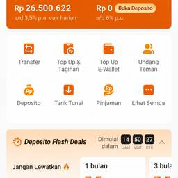 Edit Bank Balance Screenshot