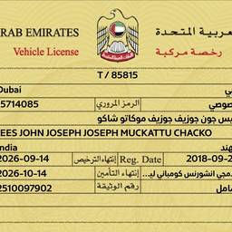 Before - UAE Vehicle License Edit
