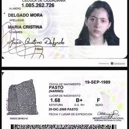 ID Card Year Edit