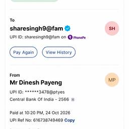 UPI Payment Screenshot Edit