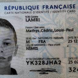 French ID Birth Year Edit