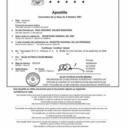 Apostille Document Cleanup