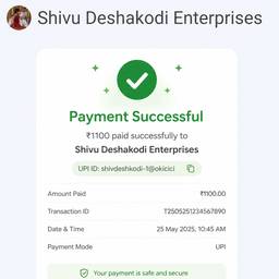 UPI Payment Success Screen