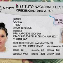 After - Voter ID Text Sharpening