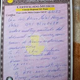 Medical Certificate Date Edit