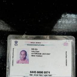 Government ID Year Edit