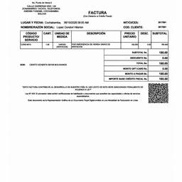 Edit Invoice with AI