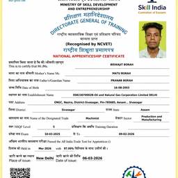 Certificate Photo Swap