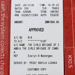 Crisp Bank Receipt Scan
