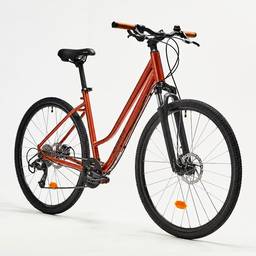 After - Bicycle Color Change