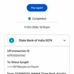 UPI Payment Date Edit