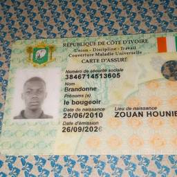 Ivorian ID Card Name Edit