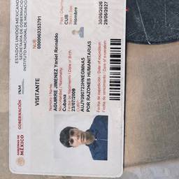 Mexican ID Card DOB Edit