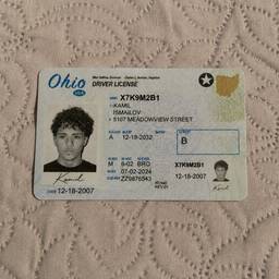 Realistic Ohio Driver's License