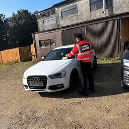 Traffic Warden Scene Edit