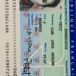 After - French ID Card DOB Edit