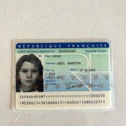 French ID Date Edit