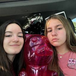 Swap Person in Photo