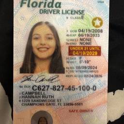 Remove Red Text From Id Card AI - Free Online Tool | ImageGPT
