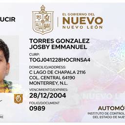 Car Driver's License Edit