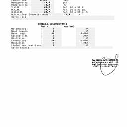 Date Change PDF Merge