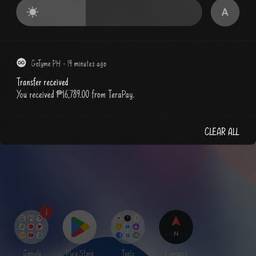 Edit Amount on Payment