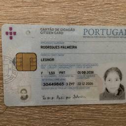 ID Card Year Edit