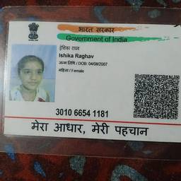 Aadhaar Birth Year Edit
