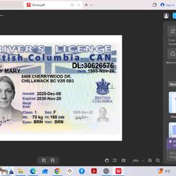 Antes - Edición del nombre en la licencia de conducir