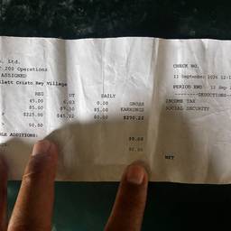 Payslip Date Edit