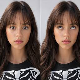 Seamless Portrait Face Swap