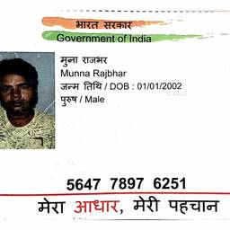 Update Government Id Details With AI - Free Online Tool | ImageGPT
