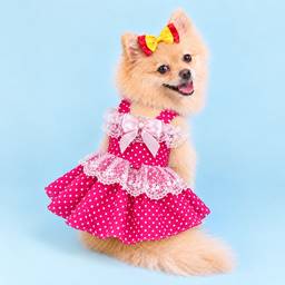 Before - Dog Dress Photo Edit