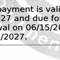Change Date in Document
