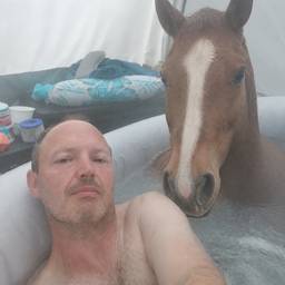 Después - Caballo en Jacuzzi