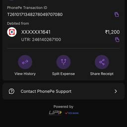 PhonePe Transactions PDF