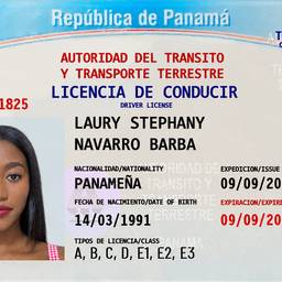 Driver's License Photo Swap