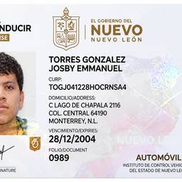 Nuevo León Driver License