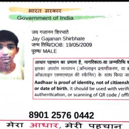 Antes - Edição do ano de nascimento no Aadhaar