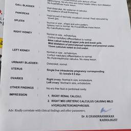 Medical Report Name Edit
