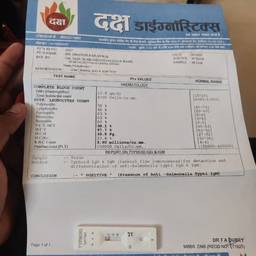 Lab Report Date Editor